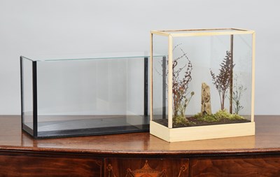 Lot 95 - Natural History: Two Taxidermy Display Cases,...