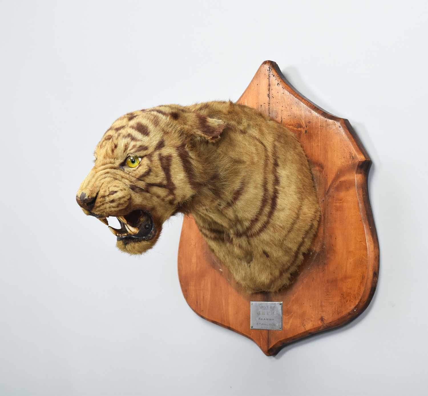 Lot 276
