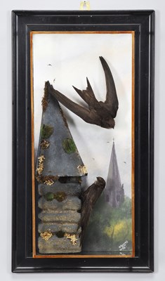 Lot 199 - Taxidermy: A Wall Cased Pair of European...