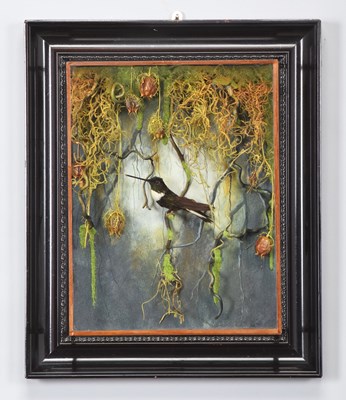 Lot 223 - Taxidermy: A Wall Cased Collared Inca...