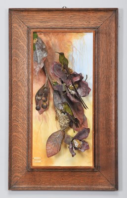 Lot 142 - Taxidermy: A Cased Pair of Green-Tailed...