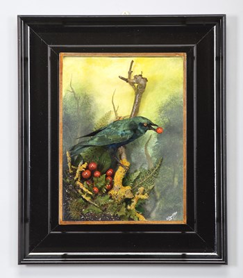 Lot 235 - Taxidermy: A Wall Cased Glossy or Cape...