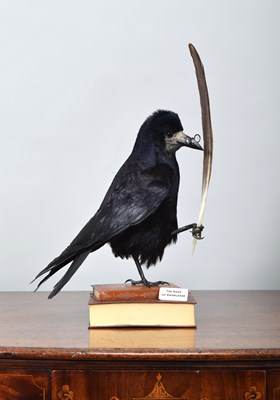 Lot 278 - Anthropomorphic Taxidermy: The Rook of...