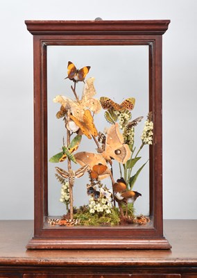 Lot 184 - Entomology: A Cased Display of Butterflies &...