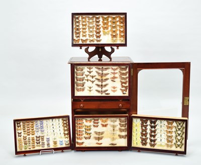 Lot 192 - Lepidoptera/Entomology: A Collection of...