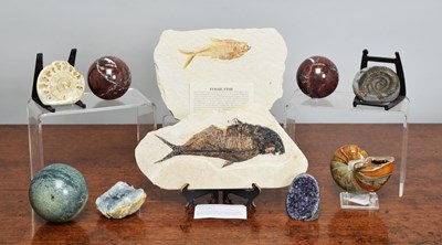Lot 103 - Natural History: A Group of Fossils & Minerals,...