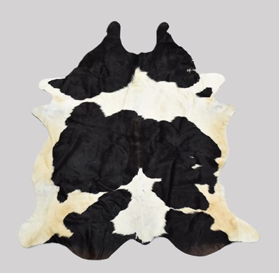 Lot 280 - Skins/Hides: Nguni Cow Hide (Bos taurus), 21st...