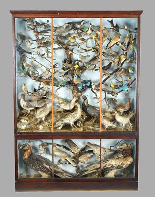 Lot 288 - Taxidermy: A Late Victorian Cabinet Display of...