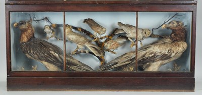 Lot 288 - Taxidermy: A Late Victorian Cabinet Display of...