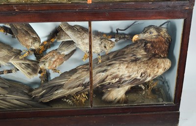 Lot 288 - Taxidermy: A Late Victorian Cabinet Display of...