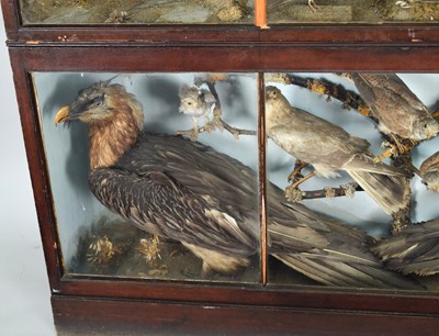Lot 288 - Taxidermy: A Late Victorian Cabinet Display of...
