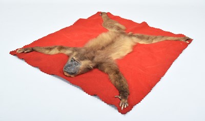 Lot 283 - Taxidermy: A Juvenile Baboon Skin Rug, circa...