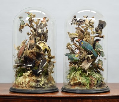 Lot 285 - Taxidermy: A Victorian Pair of Large Displays...