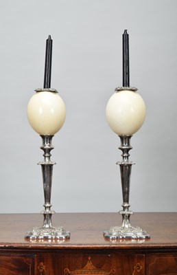 Lot 100 - Natural History: A Pair of Ostrich Egg Mounted...