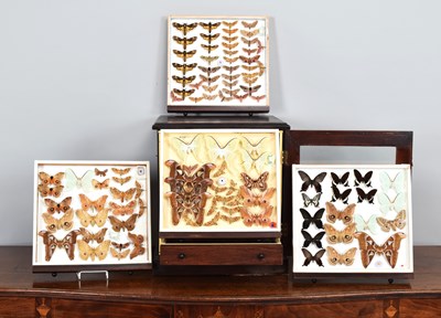 Lot 188 - Entomology: A Collectors Chest of World Moths...