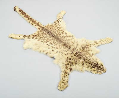 Lot 287 - Taxidermy: Snow Leopard Skin Rug (Panthera...